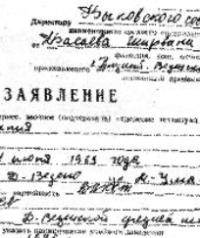Ширвани Басаев